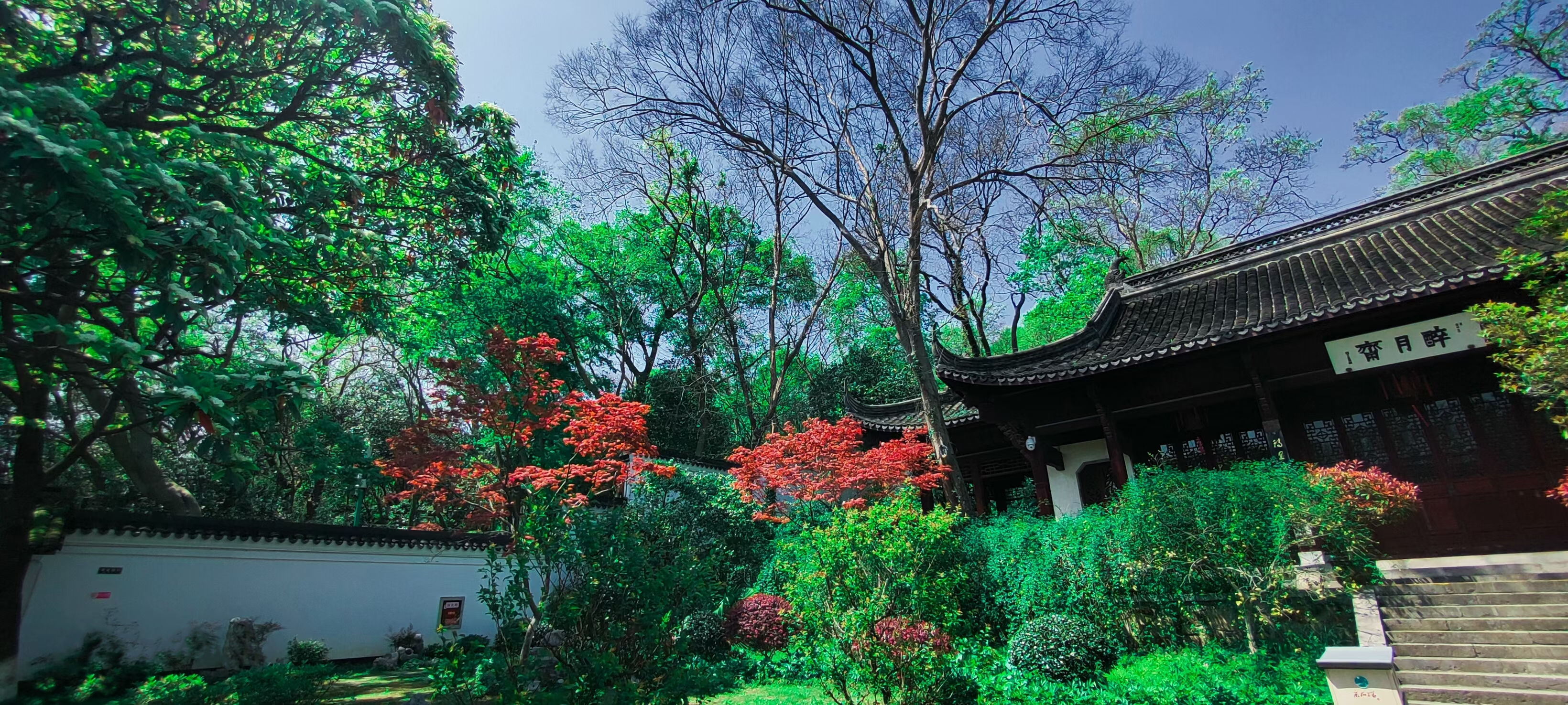 1676605467673505.jpg fa11a472dcd000dad1e859107e7eb67.jpg