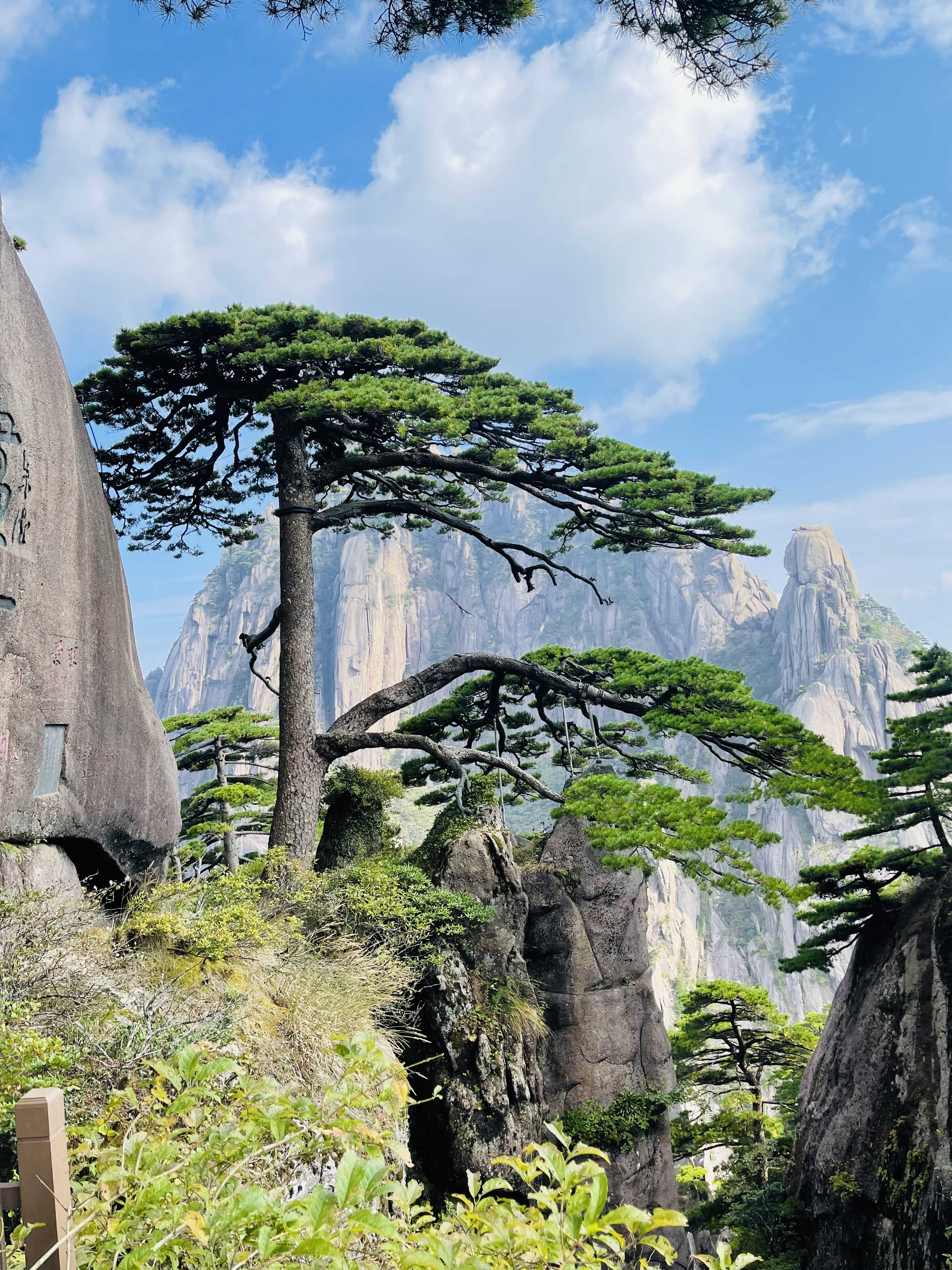 1676616453428779.jpg 7382e87b348080c101365eca462c7dd.jpg